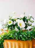 Golden Mustard Velvet Tablecloth - Partycrushstudio