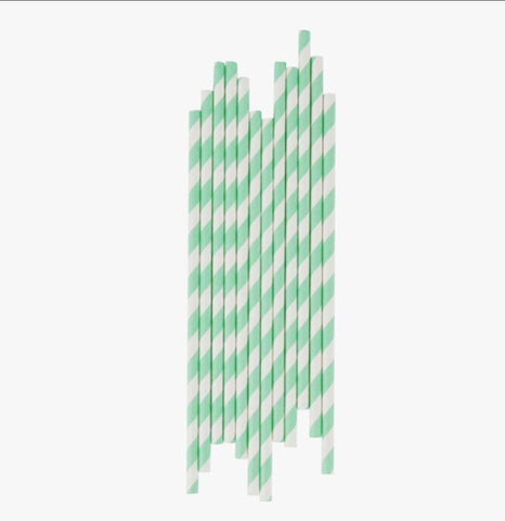 Mint Stripe Paper Straws - Partycrushstudio